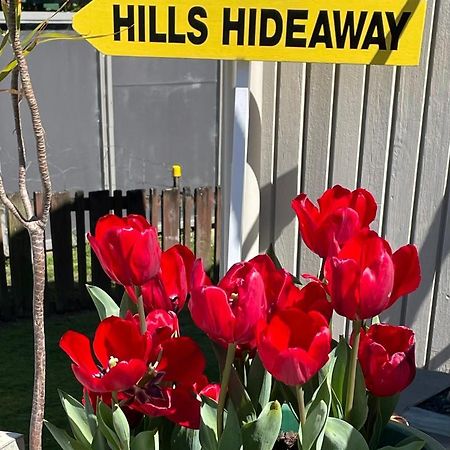 Hill'S Hideaway Hotel Dargaville Ngoại thất bức ảnh